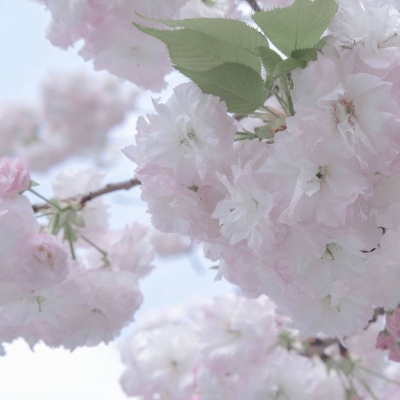 兽设背景场景绘制福瑞交流群